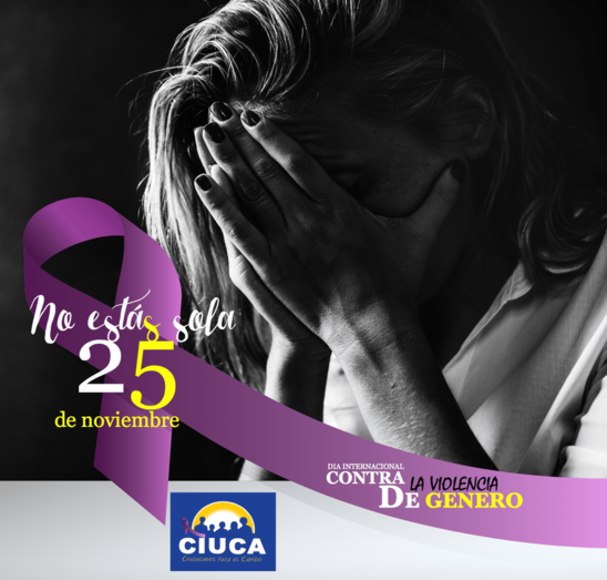 Cartel divulgado por Ciuca contra la violencia sexista (Foto TA)